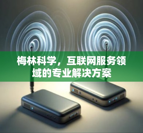 梅林科学，互联网服务领域的专业解决方案