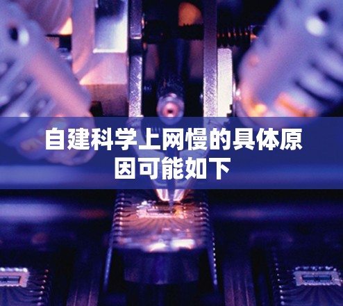 自建科学上网慢的具体原因可能如下