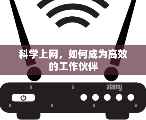 科学上网,如何成为高效的工作伙伴