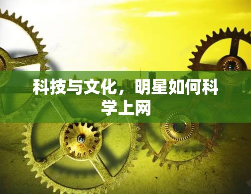 科技与文化，明星如何科学上网