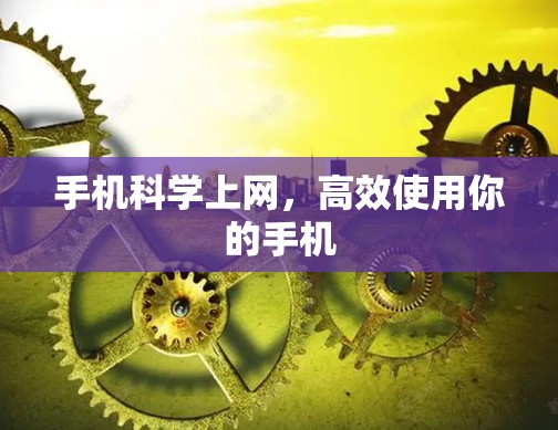 手机科学上网，高效使用你的手机