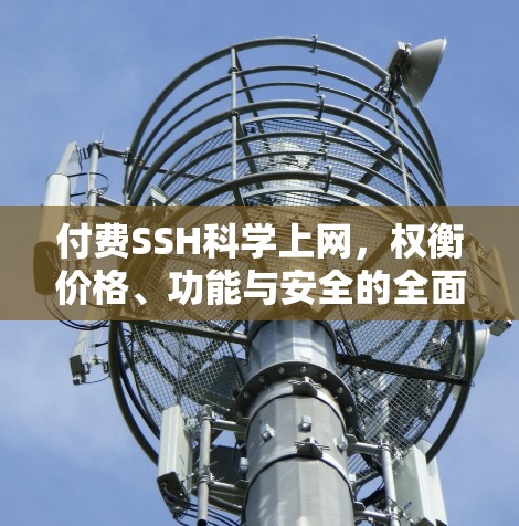 付费SSH科学上网，权衡价格、功能与安全的全面分析