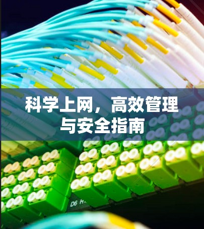 科学上网，高效管理与安全指南