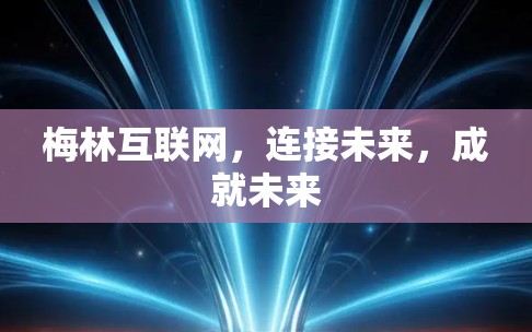 梅林互联网,连接未来,成就未来 梅林互联网,连接未来,成就未来
