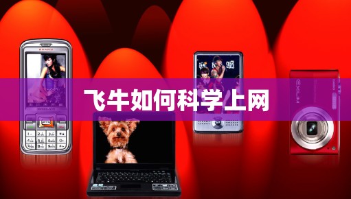 飞牛如何科学上网