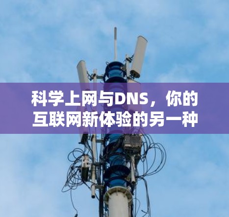 科学上网与DNS，你的互联网新体验的另一种挑战