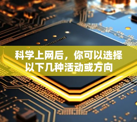 <strong>科学上网</strong>后,你可以选择以下几种活动或方向