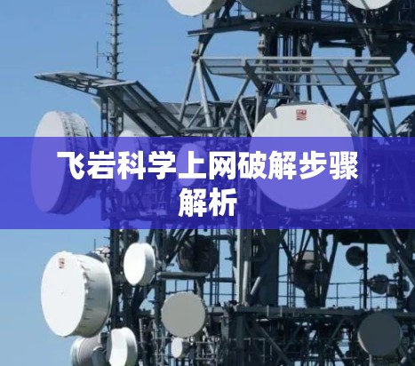 飞岩<strong>科学上网</strong>破解步骤解析