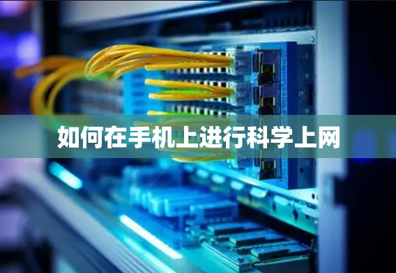 如何在手机上进行科学上网