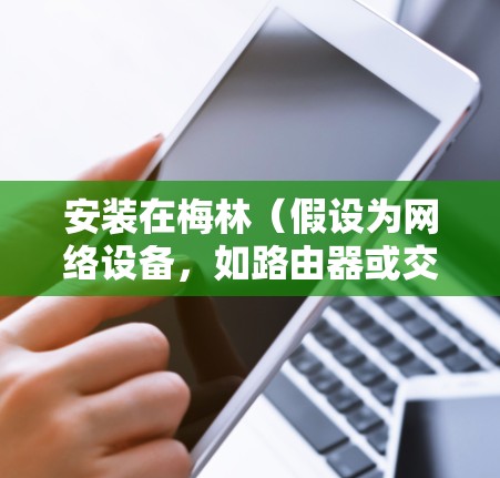 安装在梅林（假设为网络设备，如路由器或交换机）的线缆需要遵循以下步骤