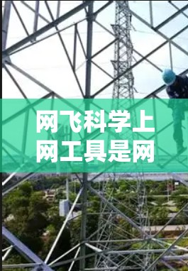 网飞科学上网工具是网飞公司开发的在线学习平台，旨在为用户提供便捷的学习资源和工具。以下是对该工具的详细分析