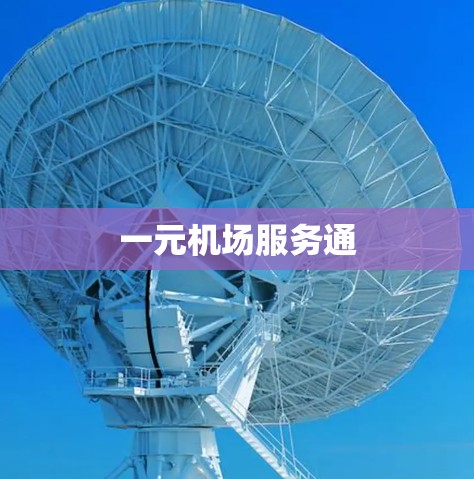 一元机场服务通 一元机场服务通