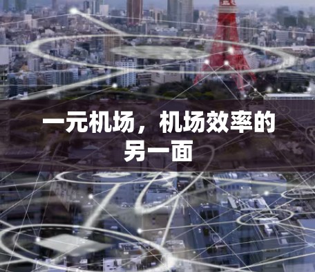 一元机场,机场效率的另一面 一元机场,机场效率的另一面