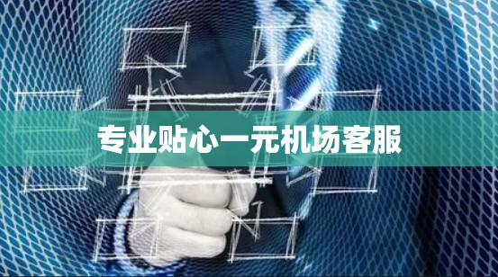 专业贴心一元机场客服 专业贴心一元机场客服