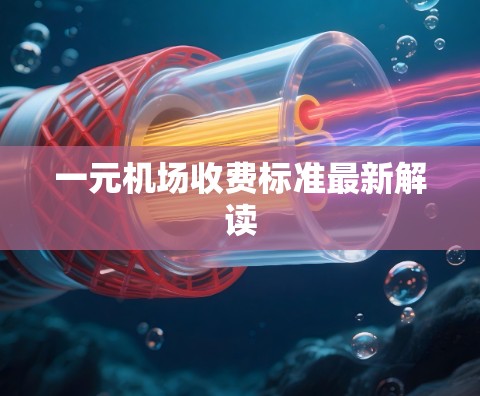 一元机场收费标准最新解读 一元机场收费标准最新解读