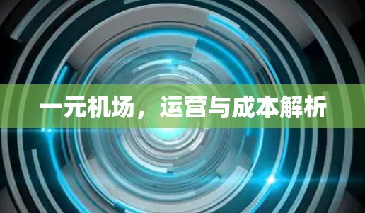 一元机场,运营与成本解析