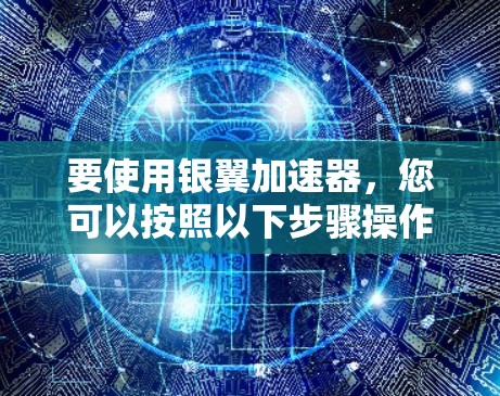 要使用银翼加速器，您可以按照以下步骤操作