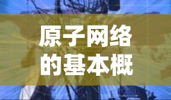 原子网络的基本概念 原子网络的基本概念