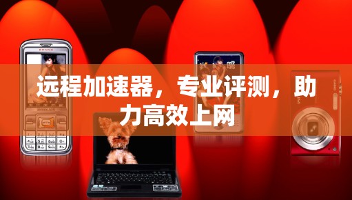远程加速器,专业评测,助力高效上网