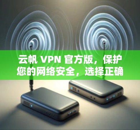云帆 VPN 官方版，保护您的网络安全，选择正确的方式