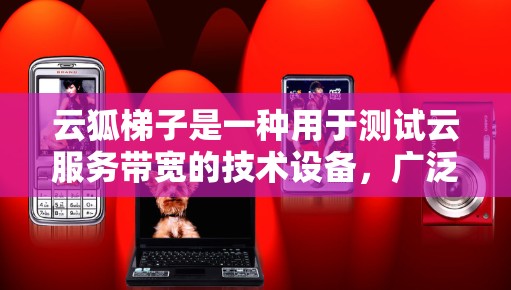 云狐<strong>梯子</strong>是一种用于测试云服务带宽的技术设备,广泛应用于云服务提供商进行带宽测试。以下是对云狐<strong>梯子</strong>的详细解答