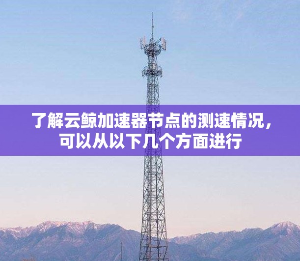 了解云鲸加速器节点的测速情况,可以从以下几个方面进行