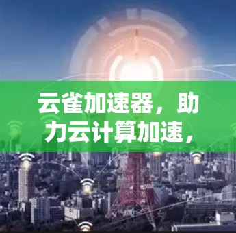 云雀加速器,助力云计算加速,助力数据流优化 云雀加速器,助力云计算加速,助力数据流优化