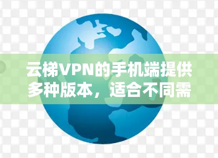 云梯VPN的手机端提供多种版本,适合不同需求的用户。以下是常见的云梯VPN手机端的版本及其使用指南 云梯VPN的手机端提供多种版本,适合不同需求的用户。以下是常见的云梯VPN手机端的版本及其使用指南
