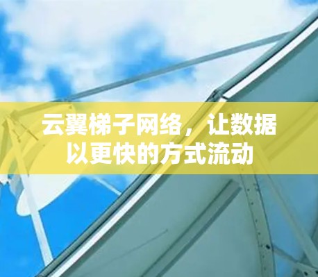 云翼<strong>梯子</strong>网络,让数据以更快的方式流动