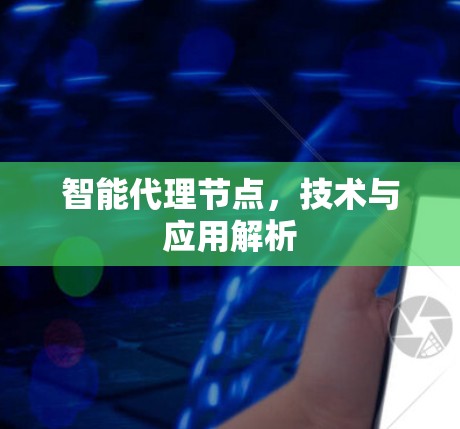智能代理节点,技术与应用解析 智能代理节点,技术与应用解析