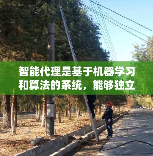 智能代理是基于机器学习和算法的系统，能够独立学习并执行复杂任务，如游戏和机器人控制。以下是其详细分析