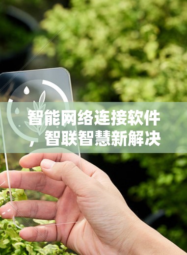 智能网络连接软件,智联智慧新解决方案