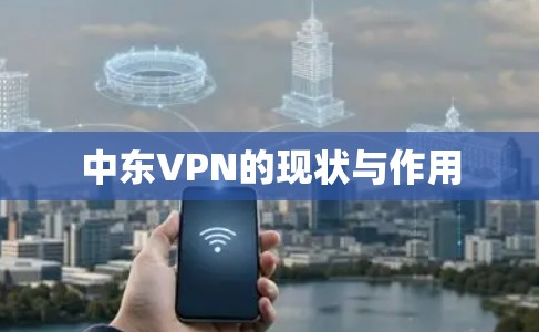 中东VPN的现状与作用