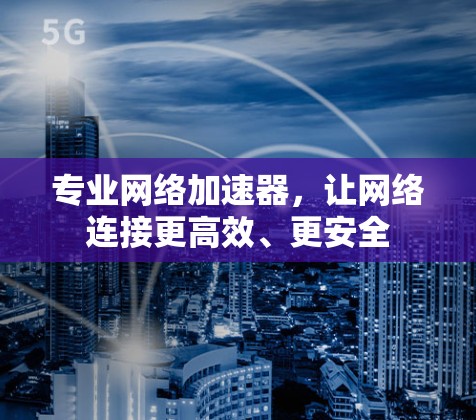 专业网络加速器,让网络连接更高效、更安全