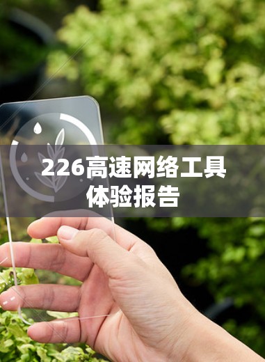 226高速网络工具体验报告
