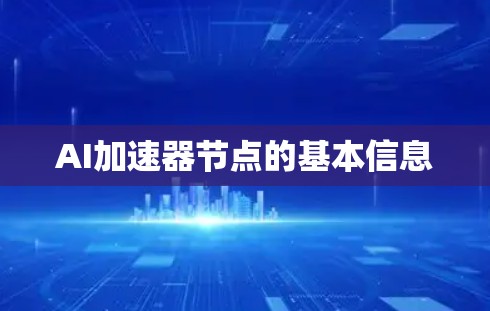 AI加速器节点的基本信息 AI加速器节点的基本信息