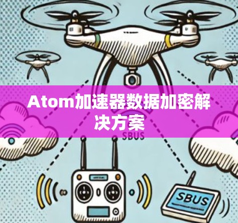 Atom加速器数据加密解决方案