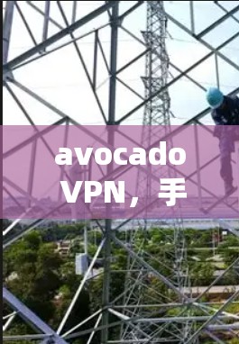 avocado VPN，手机端安全防护新标准