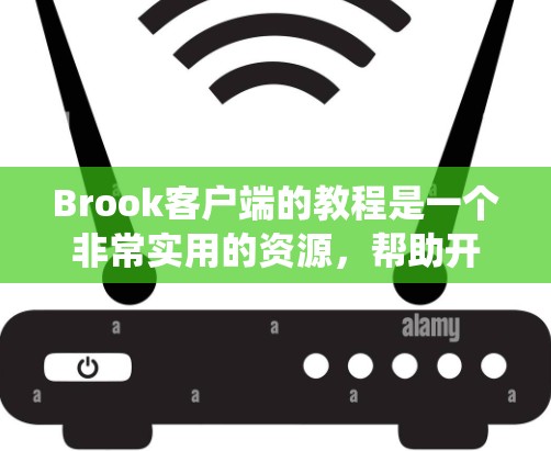 Brook客户端的教程是一个非常实用的资源,帮助开发者高效使用这个前端开发工具。以下是一个系统化的教程指南,根据常见的教程结构来组织内容