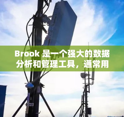 Brook 是一个强大的数据分析和管理工具,通常用于项目管理、数据分析、自动化任务调度等场景。以下是一个详细的配置指南,帮助你顺利配置和使用Brook
