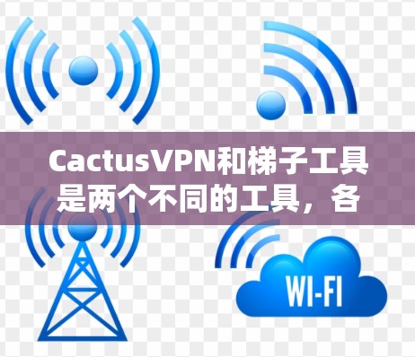 CactusVPN和梯子工具是两个不同的工具,各有其独特的功能和适用场景,以下是详细的对比分析