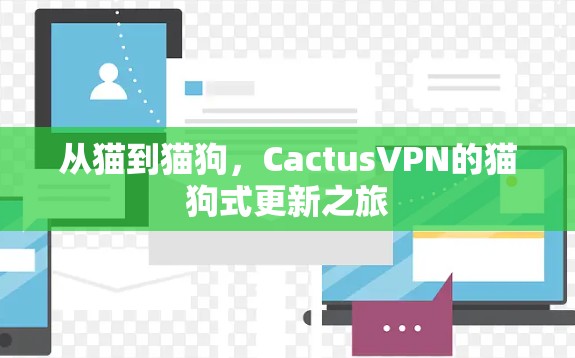 从猫到猫狗,CactusVPN的猫狗式更新之旅