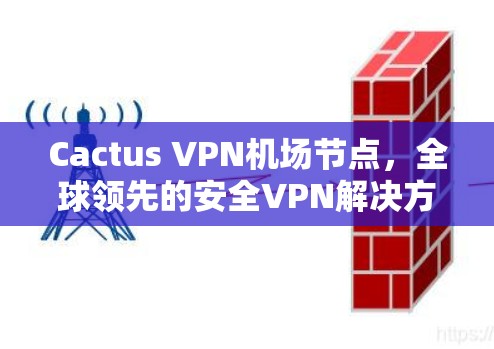 Cactus VPN机场节点,全球领先的安全VPN解决方案