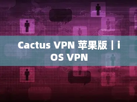 Cactus VPN 苹果版|iOS VPN
