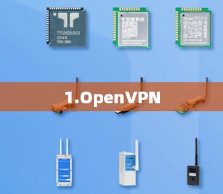 1.OpenVPN