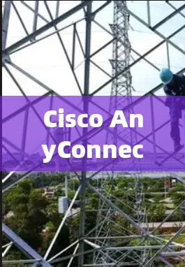 Cisco AnyConnect安全软件是一个旨在保护网络免受攻击的软件，主要由Cisco公司开发。以下是对该软件的详细分析