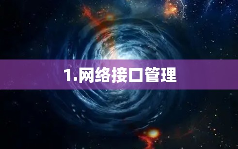 1.网络接口管理